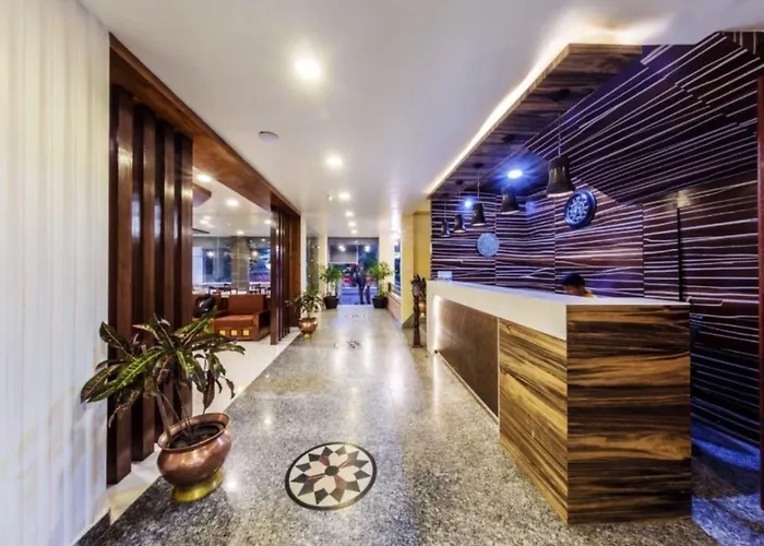 Tapas - Near Tribhuvan International Airport Hotel Katmandou